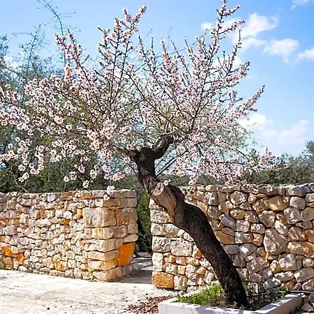 Masseria Montepaolo Dimora Di Charme *
